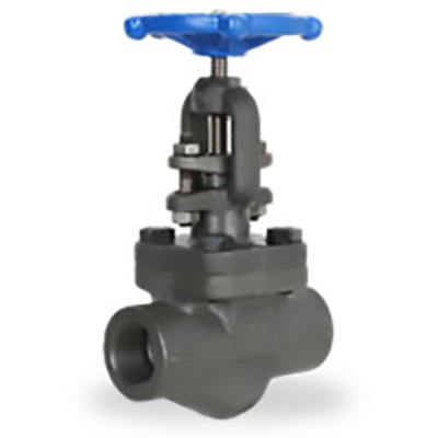 Globe Valve 