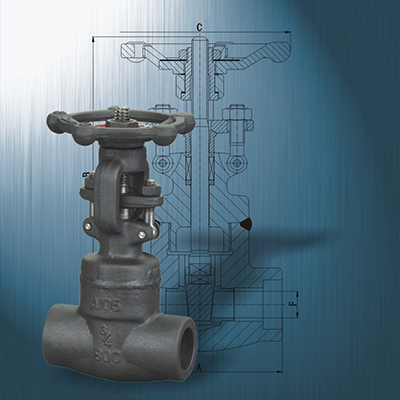 Forged Steel Gate Valve 